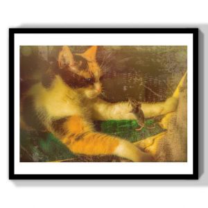 animal art cute photograph for gift