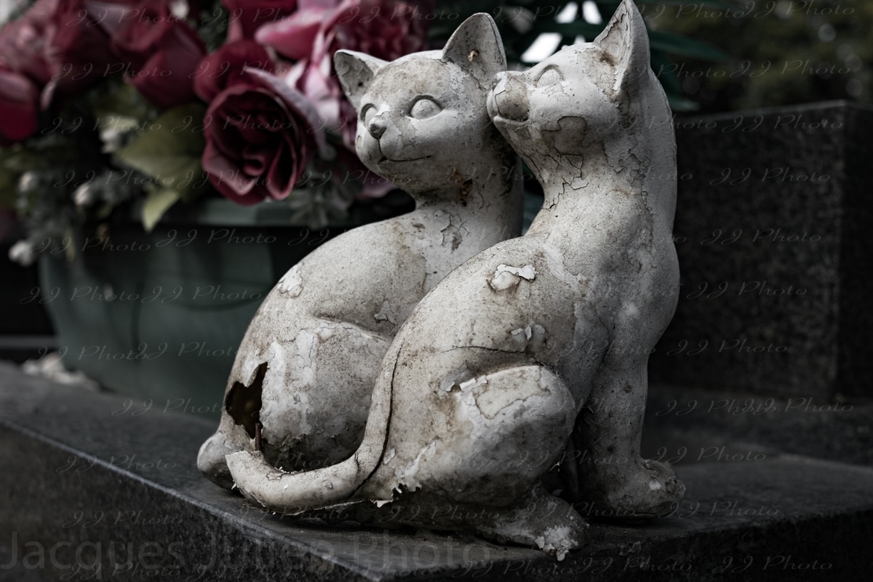 Statue de chat sur une pierre tombale – Photo stock