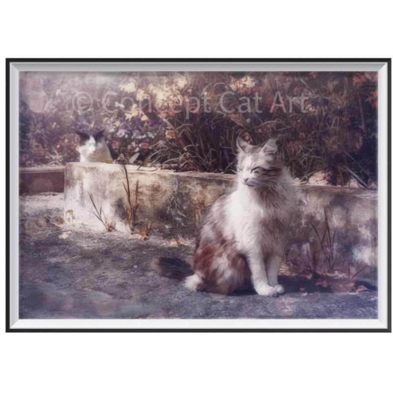 Illustration chat dans la rue par Jacques Julien