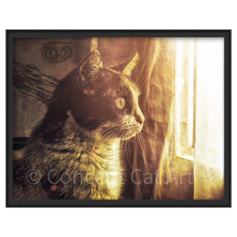 Concept Cat Art chat à la fenêtre