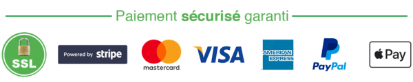 paiement sécurisé visa Paypal