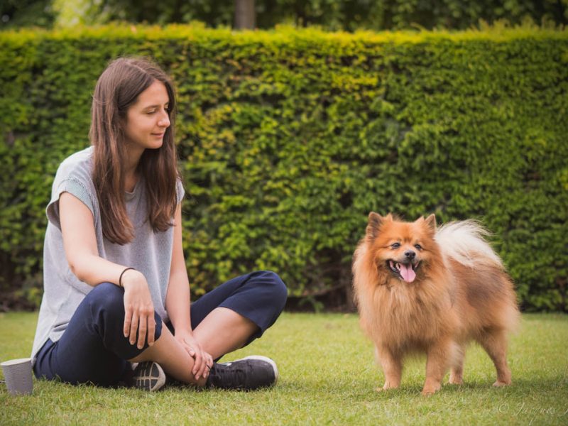 jeune femme assise sur la pelouse avec son chien spitz
