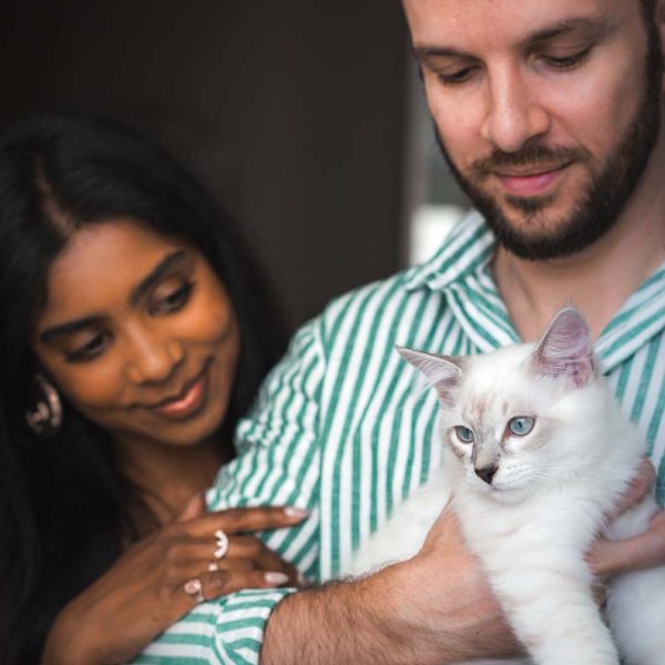 Happy couple in striped shirts lovingly holding adorable white kitten with blue eyes, creating warm family portrait with their new pet in soft lighting