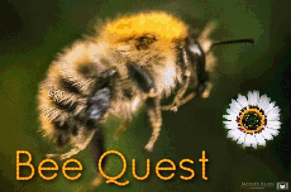 Bee Quest pixel art Game with flower