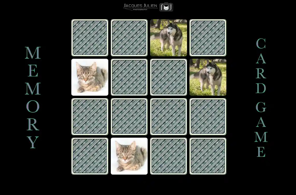 classic Memory card game with animal pictures