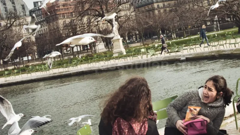 Two young women being attacked by seagulls in a Paris park along the Seine, one woman looking frightened while protecting herself