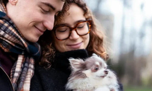 Jeune couple souriant tenant ensemble un chihuahua blanc et gris en extérieur