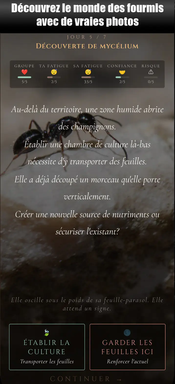 Capture d'écran jeu mobile ANTagony montrant scène d'exploration de fourmi avec texte narratif et choix de décisions
