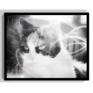 calico cat with psychic waves