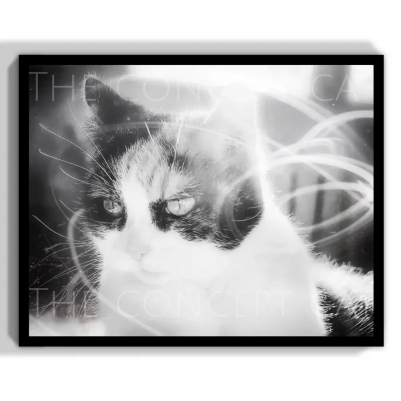 chat calico entouré d'ondes magnétiques